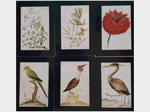 Stampe edizione limitata