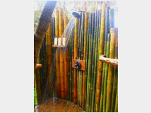 Canne di bambu  bamboo da 1 a 10 cm.diametro