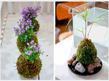 Corsoworkshop kokedama