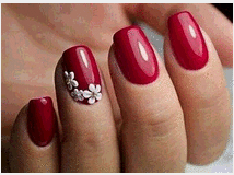 5439367 negozio MILANO E