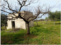 5440916 in affitto terreno