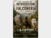 Corsocorso di introduzione alla falconeria