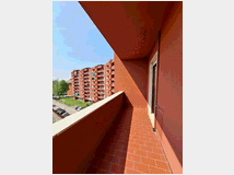 5443365 in affitto bilocale