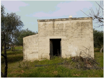5452677 in affitto terreno