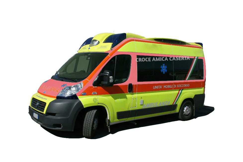 4502496 Ambulanza Veterinaria Caserta