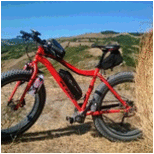 biciclette-motori-elettrici 