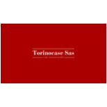 torinocase 