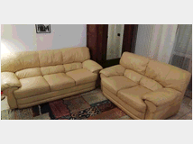 coppia-di-divani-prezzo-eur30000 