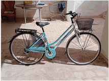 offro-bicicletta-da-donna 