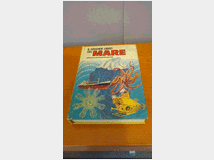 il-grande-libro-del-mare 