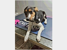 in-regalo-una-mamma-per 