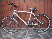 offro-bicicletta-bianchi-mountain 