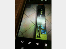 vendo-taglia-rami-manico-lungo 