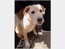 in-regalo-mia-aspetta-una 