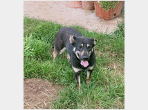 in-regalo-priscilla-aspetta-una 