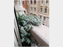 cerchiamo-alloggio-a-roma-per 
