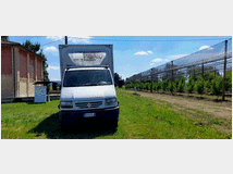 camion-nettezza-urbana-altro-renault 