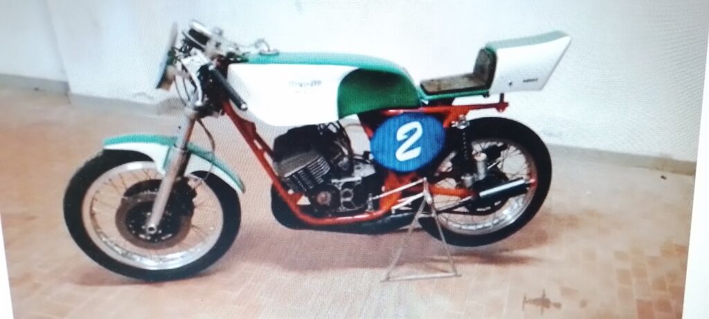 5401654 Usato  Benelli 250 R.E.C