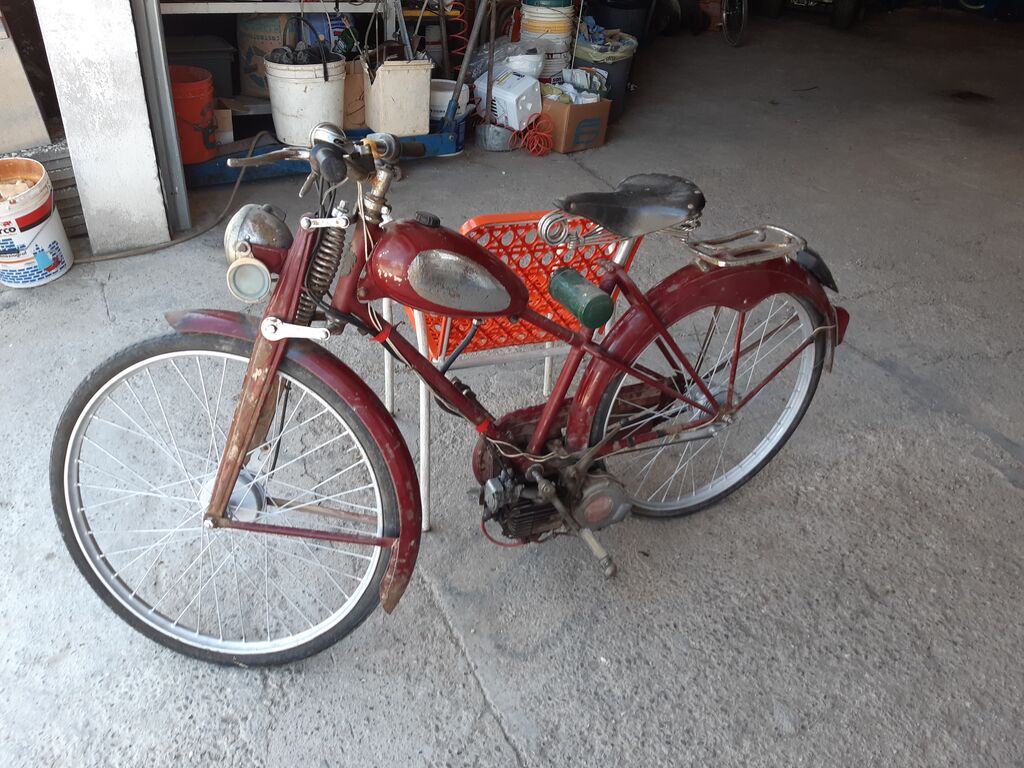 4303570 Usato  bicicletta moschito