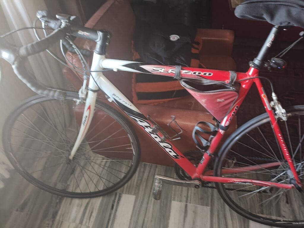 5354780 Bicicletta da corsa