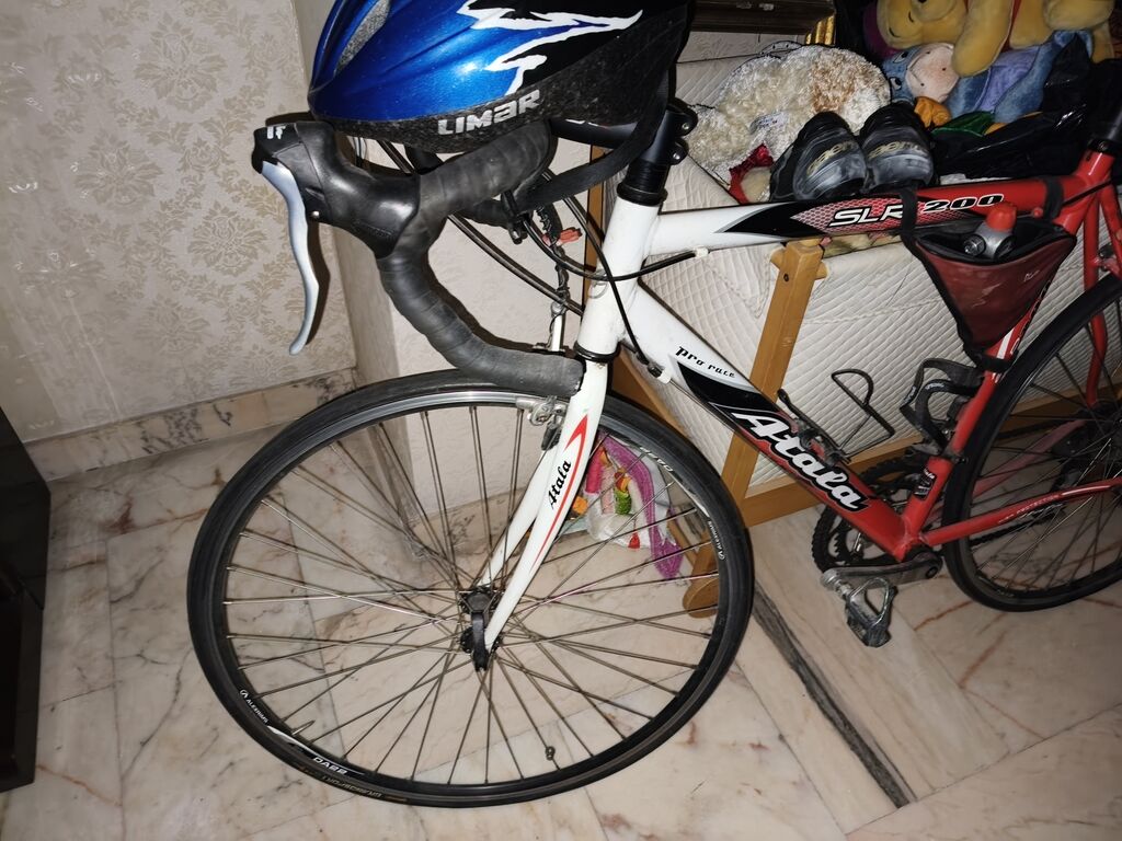 5354781 Bicicletta da corsa