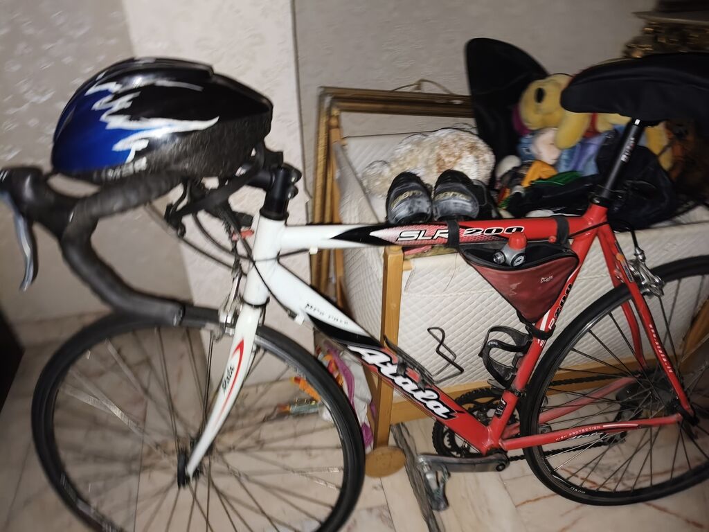 5354783 Bicicletta da corsa