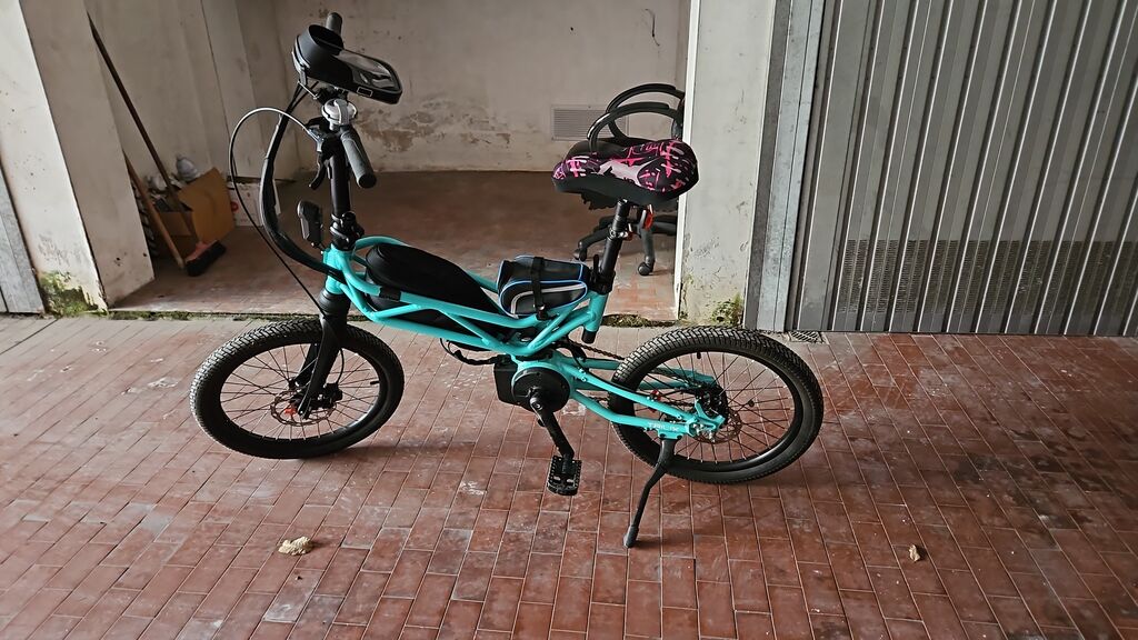 5402565 Ebike trilix