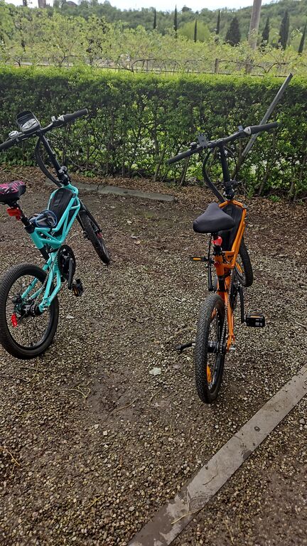 5402566 Ebike trilix