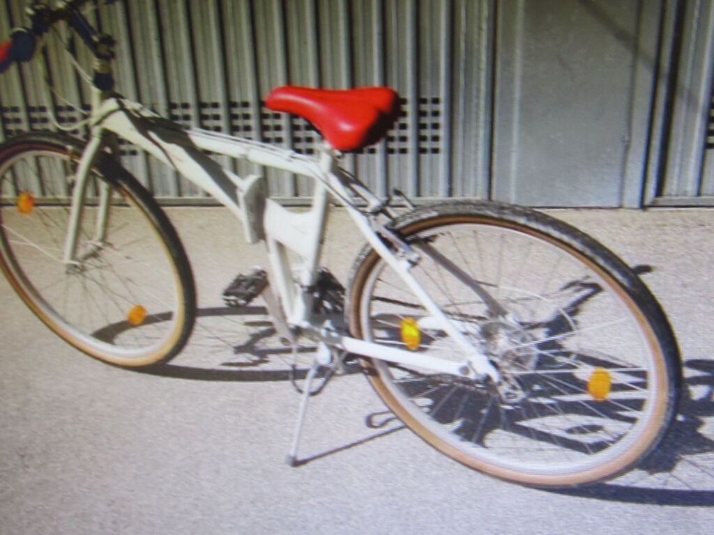 5405013 M.t.bike semi-professional della