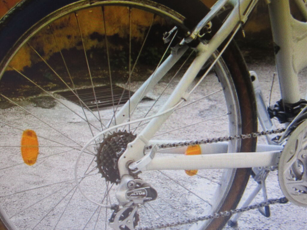 5405017 M.t.bike semi-professional della