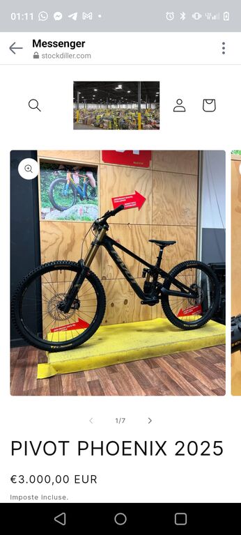 5378413 Pivot phoenix 2025