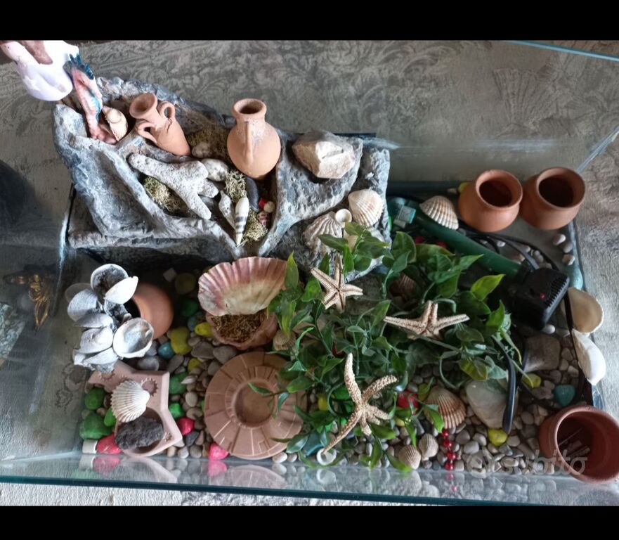 5350082 Acquario per tartarughe completo