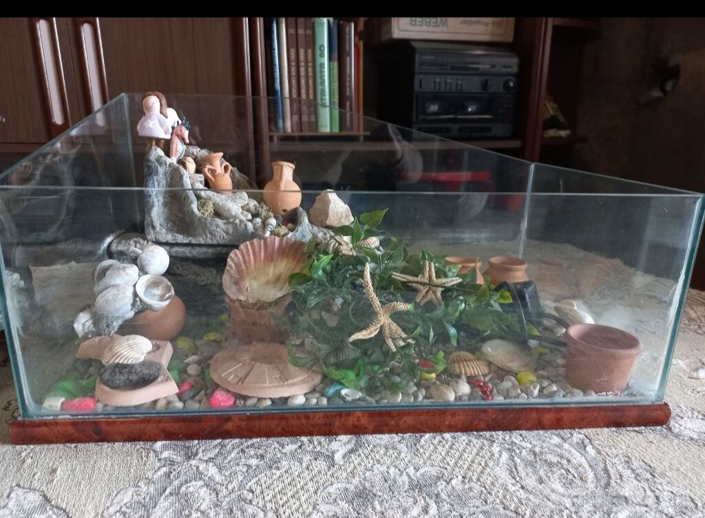 5350084 Acquario per tartarughe completo