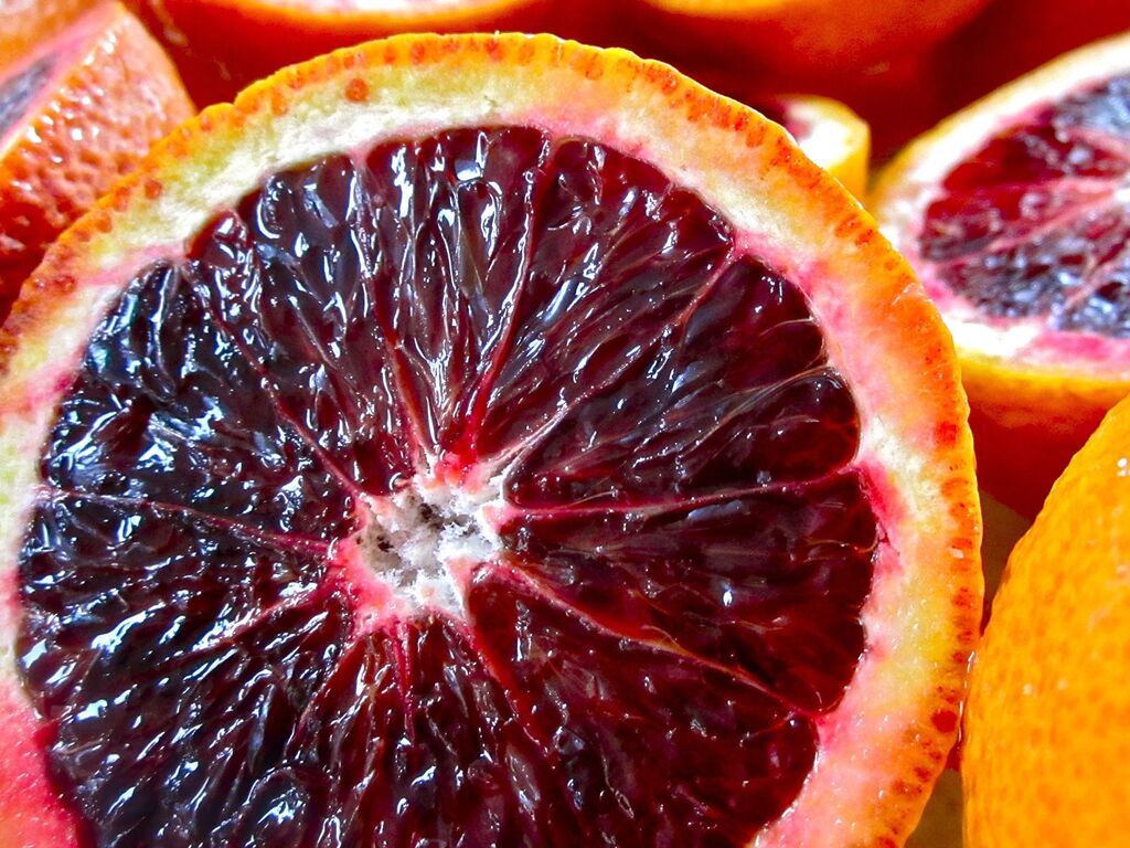 5355963 Agrumi di sicilia