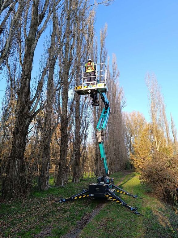 5410843  ALTRO Altro IM R20 DA