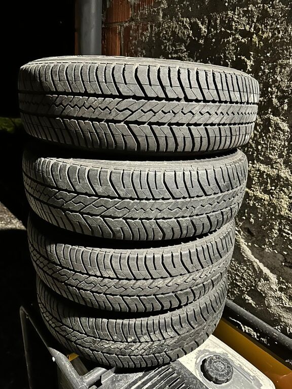 5365485  Altro FIAT Punto