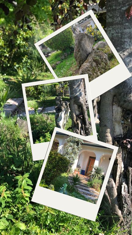5406147  appartamento inBed & Breakfast