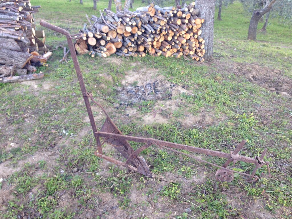 5410962 Aratri antichi dei primi del