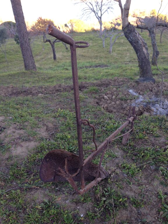 5410965 Aratri antichi dei primi del