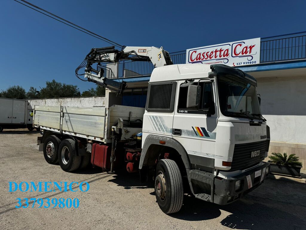 5386396  Autogru IVECO