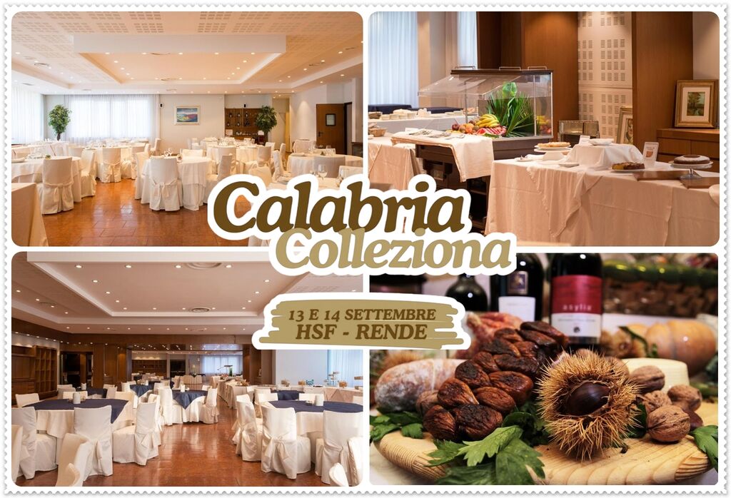 5397354 Calabria colleziona - 13 e 14