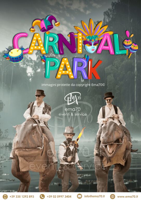 5408264 Carnevale party