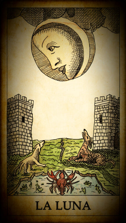 5346756 Cartomante vittoria