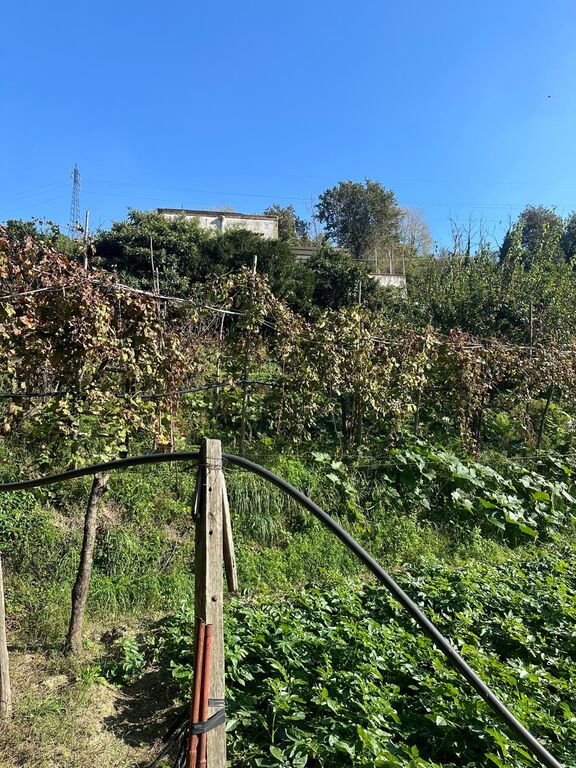 5349691  casale mq200 Da ristrutturare
