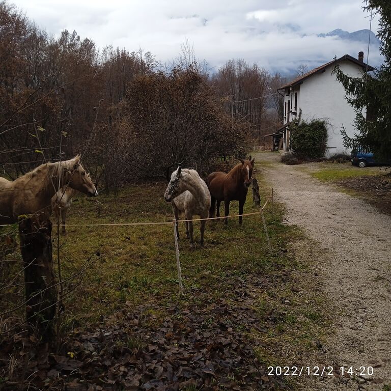 5347696  casale mq250 Ristrutturato