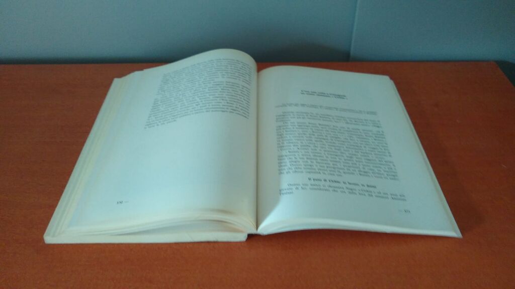 5370214 Castagnole lanze dai romani ai