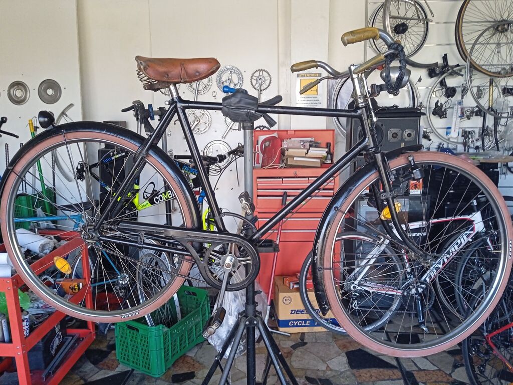 5372846 Ciclofficina milani art bike