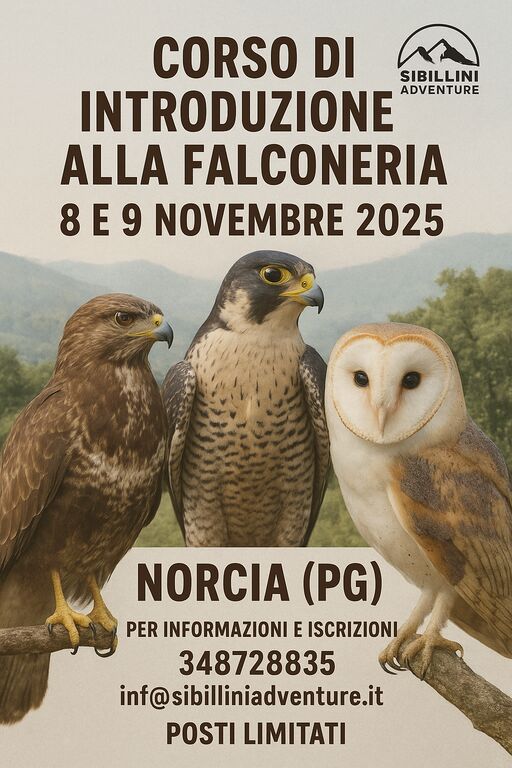 5409474  corsoFalconeria corso di