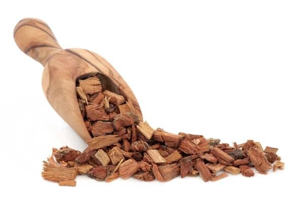 5356753 Corteccia di quercia