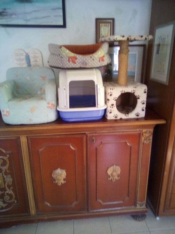 5387008 Cuccia vari